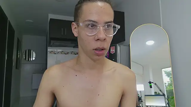 grey___27 webcam
