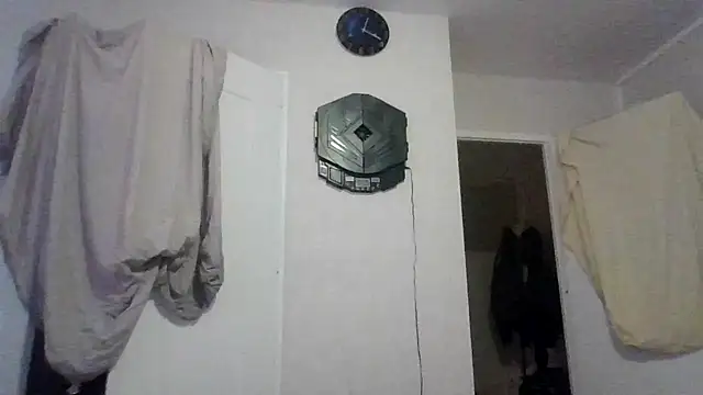 sebcucold webcam