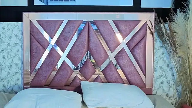 pixy_20 webcam