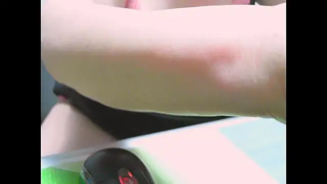 Hyllda webcam