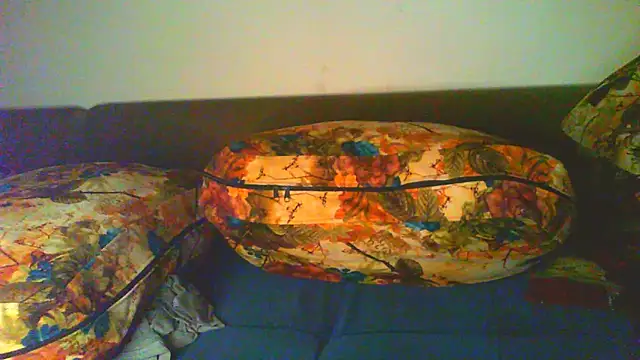 Vbestshow webcam