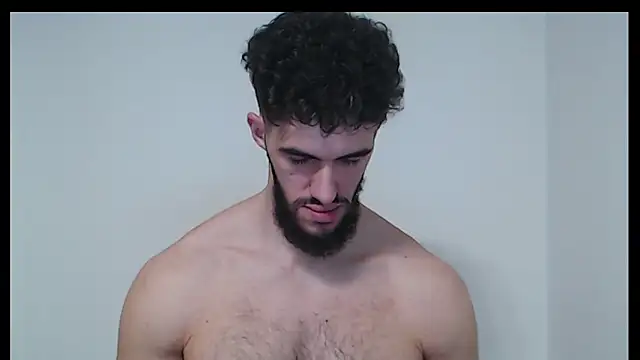 hiddenf webcam