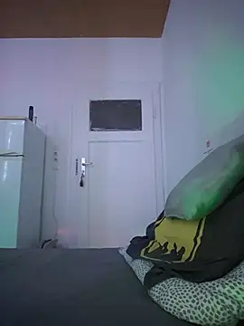 TirelessLot3 webcam