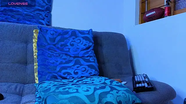 tomas_smith1 webcam