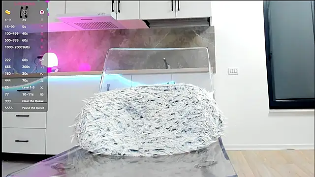 Aidasina webcam