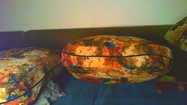Vbestshow webcam