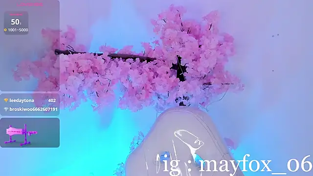May_Fox_ webcam
