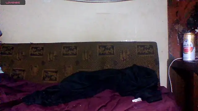 sellvageria webcam