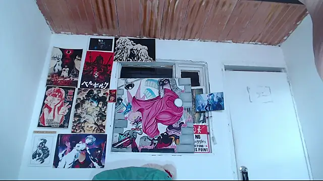Cortana2_0 webcam