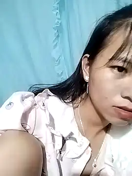 Wily-06 webcam