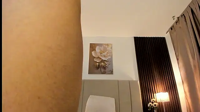 _MiLa_Dyva webcam