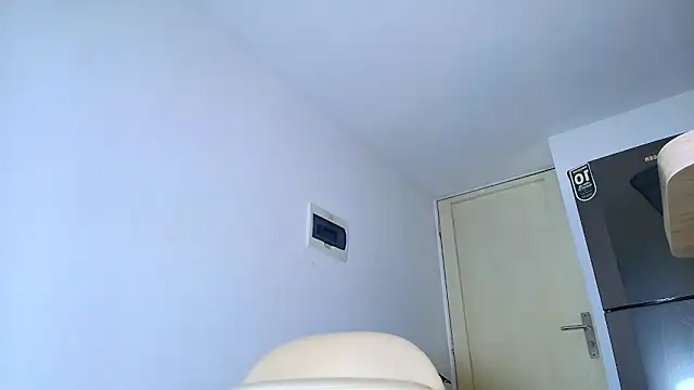 SARA_TS_FOX webcam