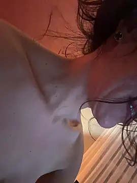 DarkDesin webcam