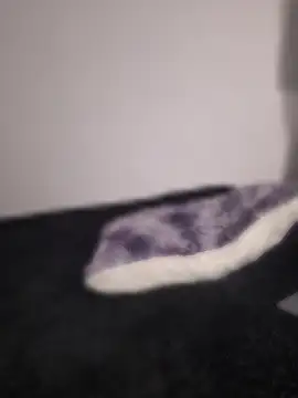 77Neferkitty77 webcam