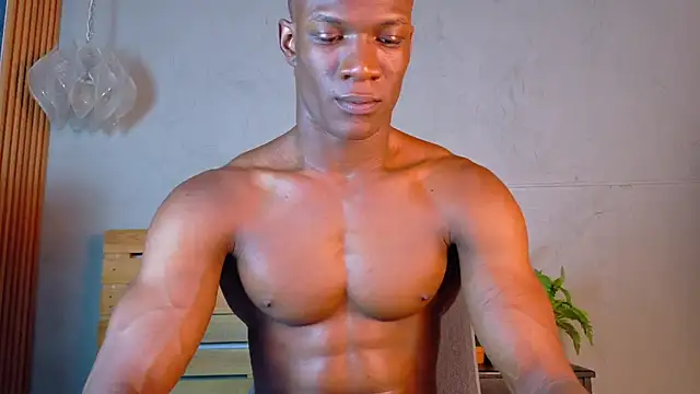 martin_killer webcam