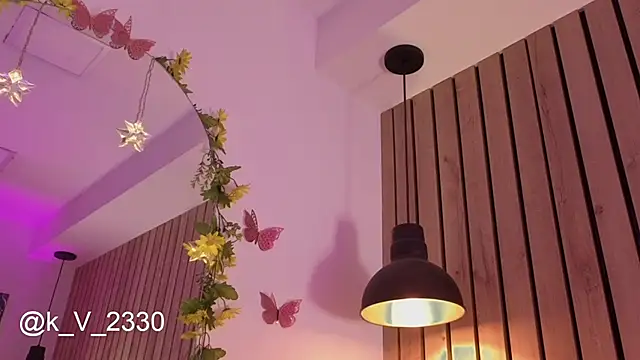 sofiesoft webcam