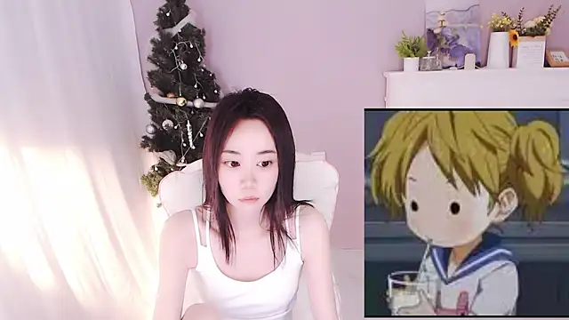 hall-33 webcam
