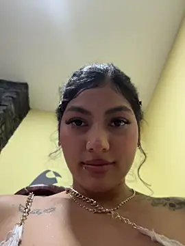 brizzmotion webcam