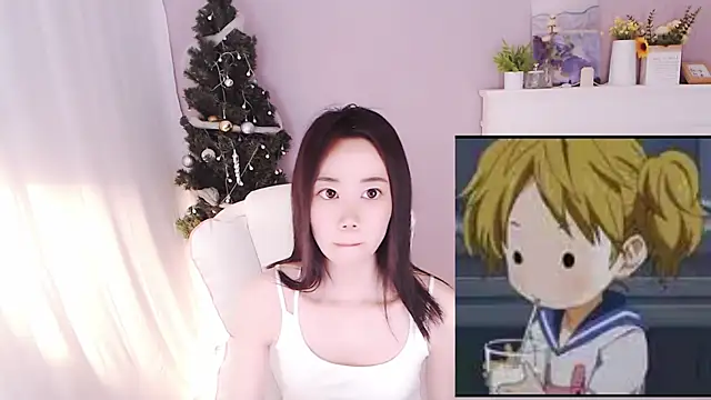 hall-33 webcam