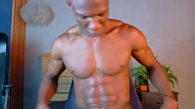 martin_killer webcam