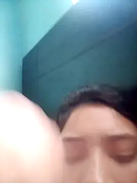 modooseilor2 webcam