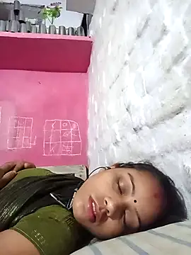 PUJAV01990 webcam