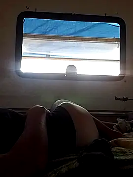 LargeDominoes webcam