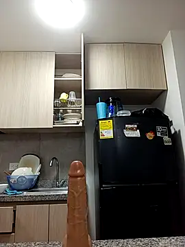 Ary- webcam