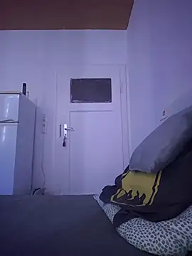 TirelessLot3 webcam