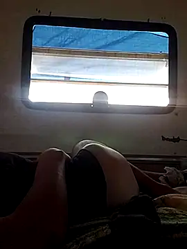 LargeDominoes webcam