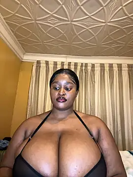 Bella-Porsche webcam