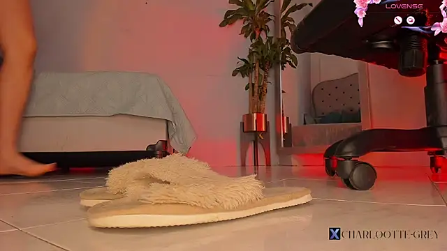 charlotte__grey webcam