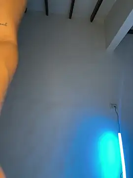 Arilw webcam