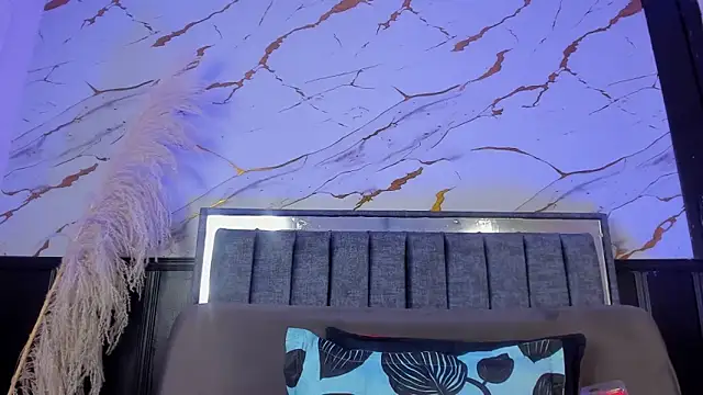 meikochoe webcam