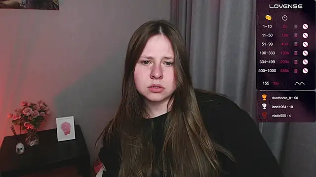 secretvic webcam