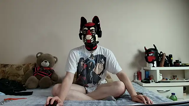 K9_GoodBoy webcam