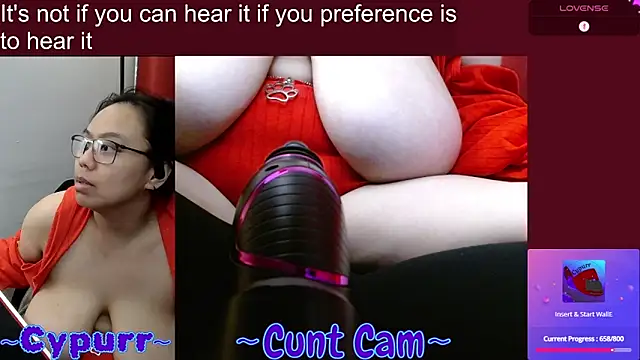 Cypurr webcam