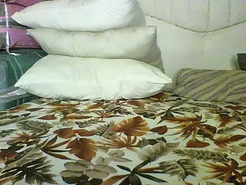 Azwo152333 webcam