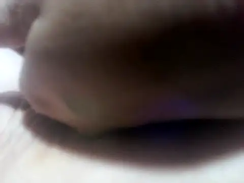 star_ass webcam