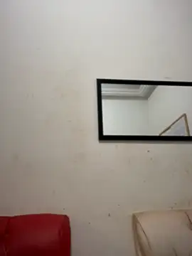 NovaFoxx webcam