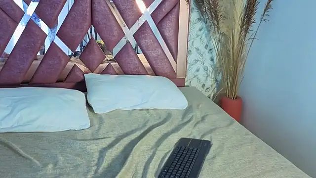 pixy_20 webcam