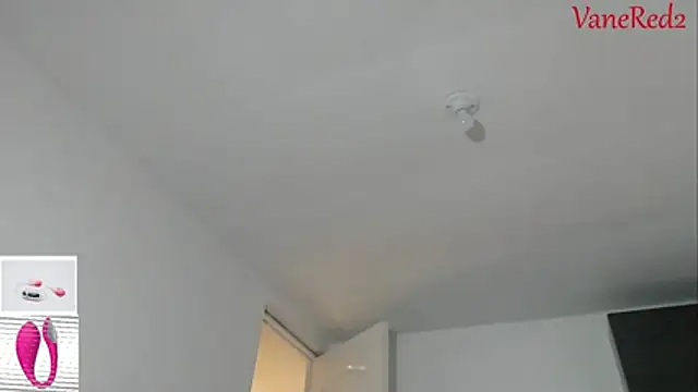 vanered2 webcam