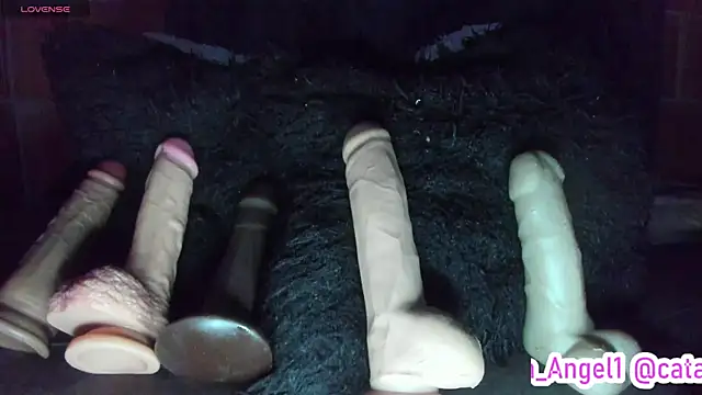 Cata-angel webcam