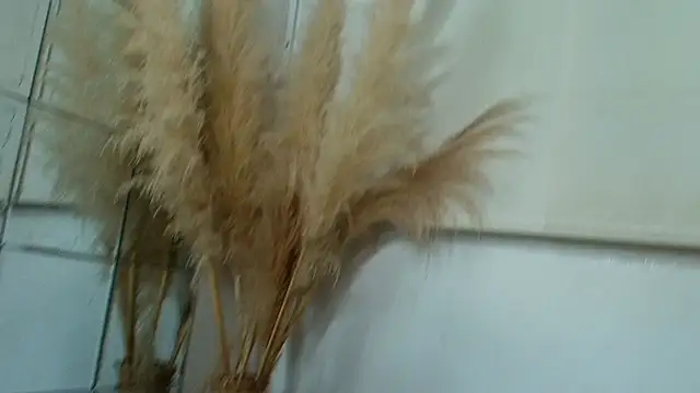 alix_rada webcam