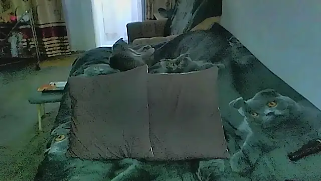 sex2 webcam