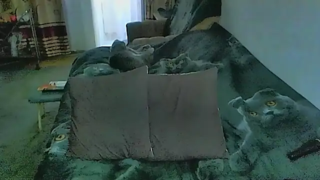 sex2 webcam