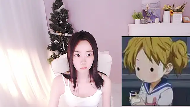 hall-33 webcam