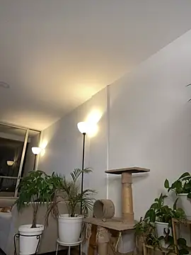 6nalanie webcam