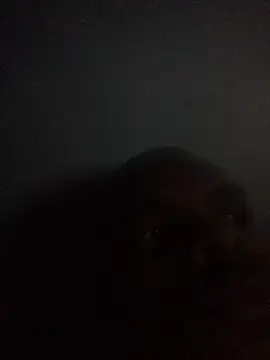 criss_zuri (M young) - show cum💦💦💦💦