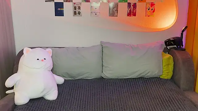 metarion webcam
